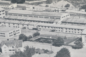 Bilde av 